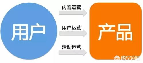大学专业选择指南 数字内容制作服务与互联网运营
