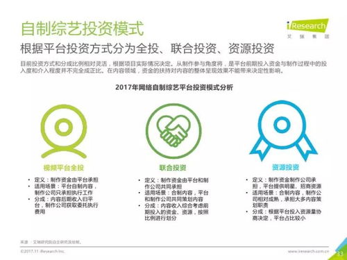 2017年中国网络自制内容行业研究报告 数字内容制作服务